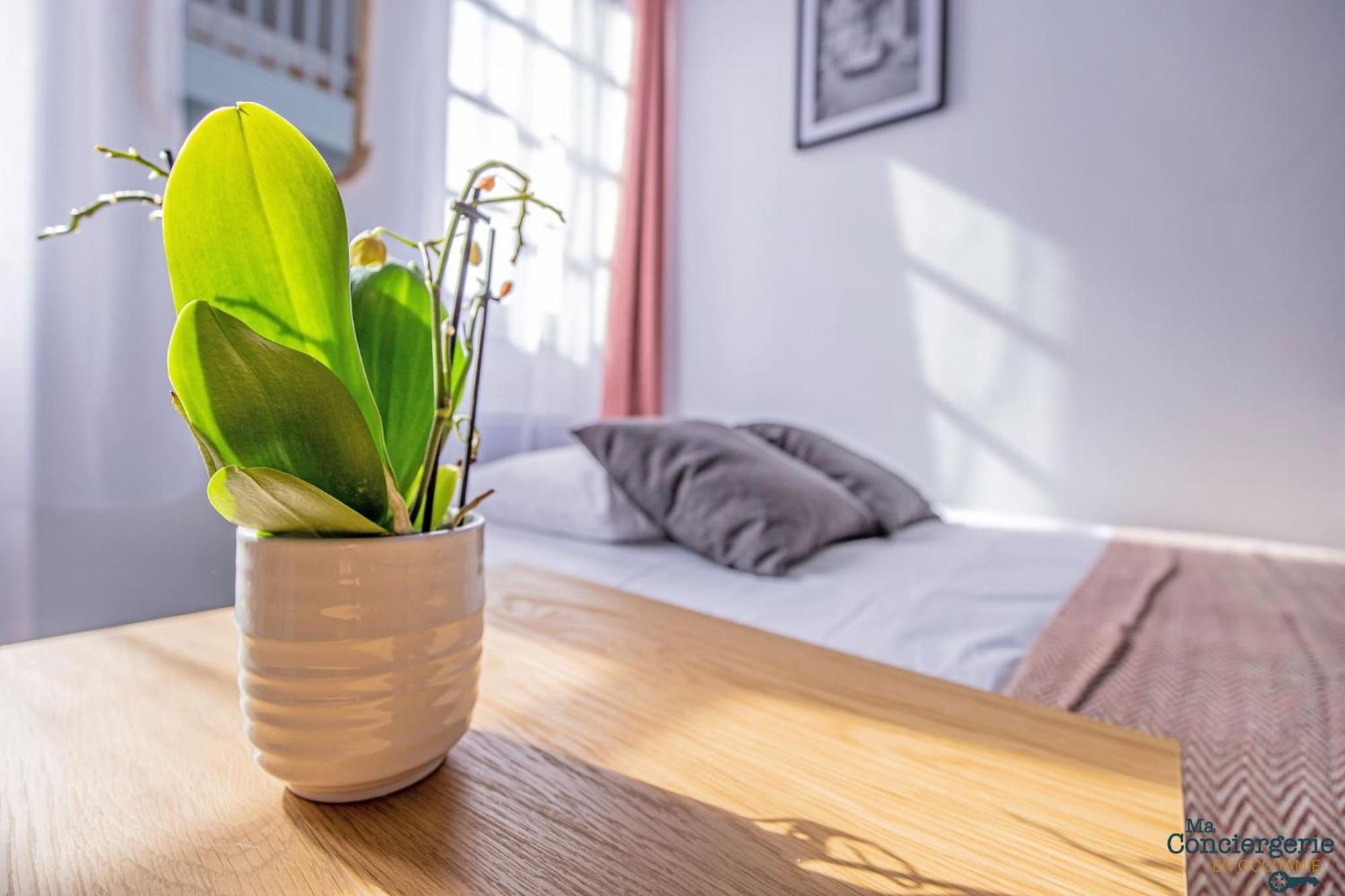 Duplex Champetre : Gare, Marche, Hypercentre Apartment Тулуза Екстериор снимка