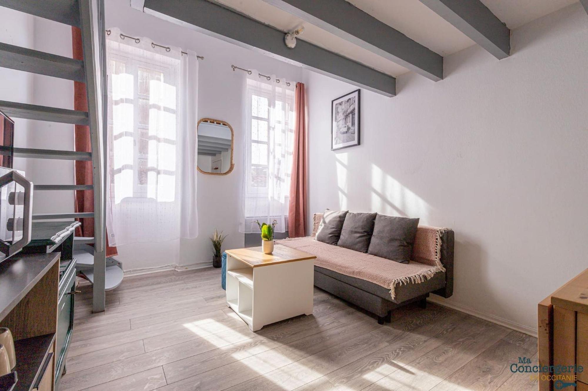 Duplex Champetre : Gare, Marche, Hypercentre Apartment Тулуза Екстериор снимка