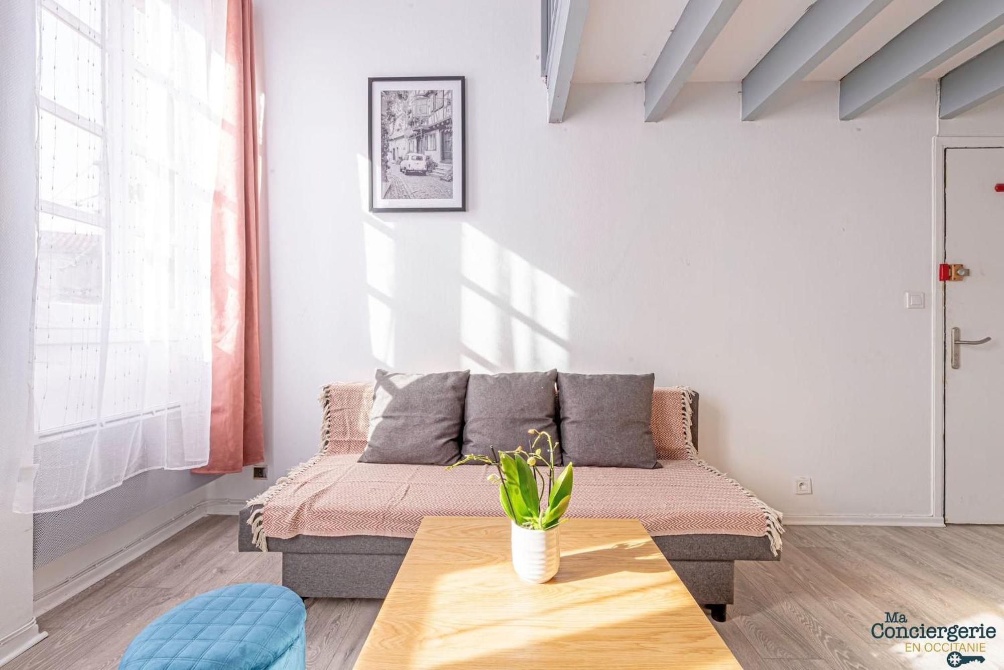 Duplex Champetre : Gare, Marche, Hypercentre Apartment Тулуза Екстериор снимка
