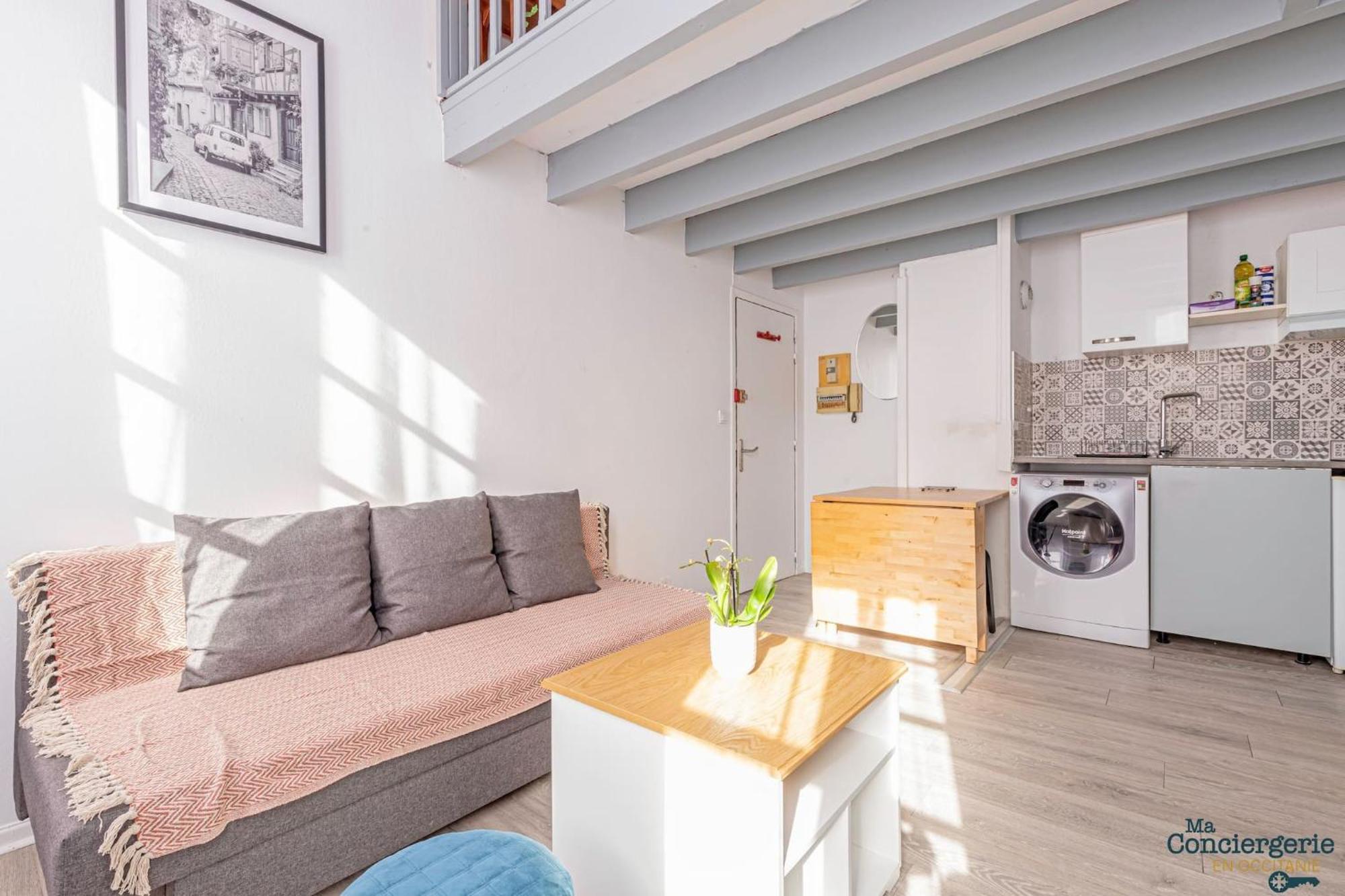 Duplex Champetre : Gare, Marche, Hypercentre Apartment Тулуза Екстериор снимка