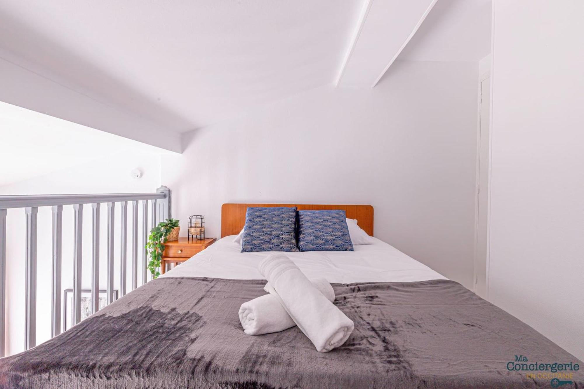 Duplex Champetre : Gare, Marche, Hypercentre Apartment Тулуза Екстериор снимка